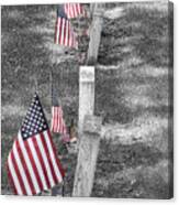 Old Tombstones And American Flags Canvas Print