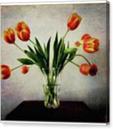 Old World Tulips Canvas Print