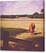 On The Running Trail This Morning Canvas Print