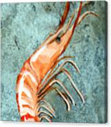 One Shrimp Canvas Print
