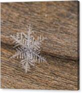 One Snowflake Canvas Print