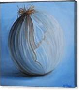 Onion Canvas Print