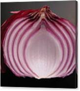 Onion Canvas Print