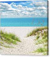 Orange Beach Al Seascape 1086a Canvas Print
