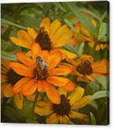 Orange Flowers And Bee Canvas Print