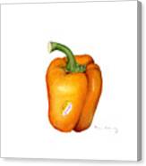 Orange Pepper Canvas Print