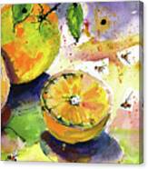 Oranges Fruit 2 Watercolor Paintings Canvas Print