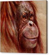 Orangutan Smiling - Sketch Canvas Print