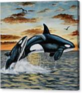 Orca Sunset Canvas Print