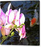 Orchid And Koi Canvas Print