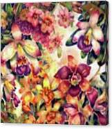 Orchid Garden Ii Canvas Print