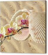 Orchids And Shells On The Beach Canvas Print
