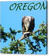 Oregon Eagle Eating Prey Canvas Print