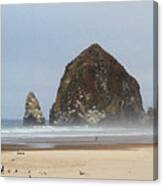 Oregon Rocks Canvas Print