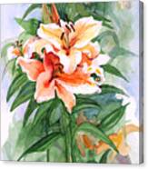 Oriental Lilies Canvas Print
