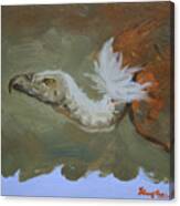 Original Oil Painting Animal Art Vulture On Board#16-01-05-4 Canvas Print