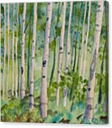 Original Watercolor - Summer Aspen Forest Canvas Print