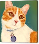 Oscar- Orange Tabby Canvas Print