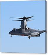 Osprey In Flight Canvas Print