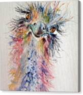 Ostrich Canvas Print