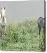 Out Of The Mist, 2 Canvas Print