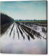 Out On The Delta Canvas Print