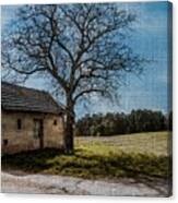 Out On The Farm Canvas Print