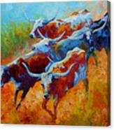 Over The Ridge - Longhorns Canvas Print