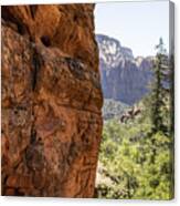 Overlooking Zion National Park Canvas Print