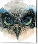Owl Eyes Canvas Print