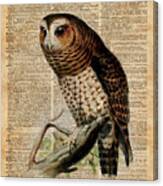 Owl Vintage Illustration Over Old Encyclopedia Page Canvas Print