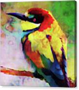 Painted Bee Eater Canvas Print