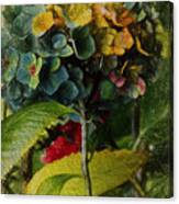 Painted Hydrangeas Canvas Print