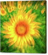 Painterly Sunflower Twirl Canvas Print