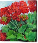 Painting Of Red Geraniums Canvas Print