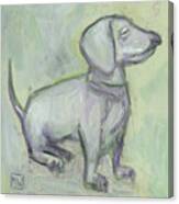 Pale Green Doxie Canvas Print