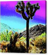 Palm Desert Cactus Canvas Print
