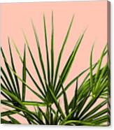Palm Life - Pastel Canvas Print