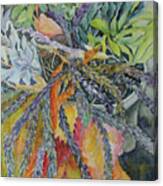 Palm Springs Cacti Garden Canvas Print