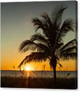 Palm Sunset Canvas Print