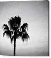 Palm Tree Silhouette Black And White Canvas Print