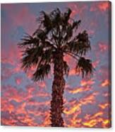 Palm Tree Sunset Canvas Print