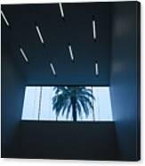 Palm Tree Through Window Canvas Print