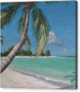 Palm Trees And Beach By Alan Zawacki Canvas Print