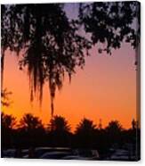 Palm Trees And Spanish Moss Sunset Canvas Print
