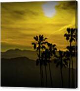 Palm Trees At Sunset With Mountains In California Canvas Print