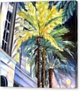 Palms In New Orleans Canvas Print