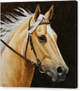 Palomino Horse Portrait Canvas Print