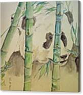 Panda Eating Canvas Print