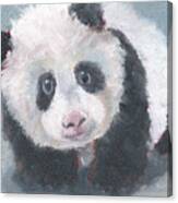 Panda For Panda Canvas Print